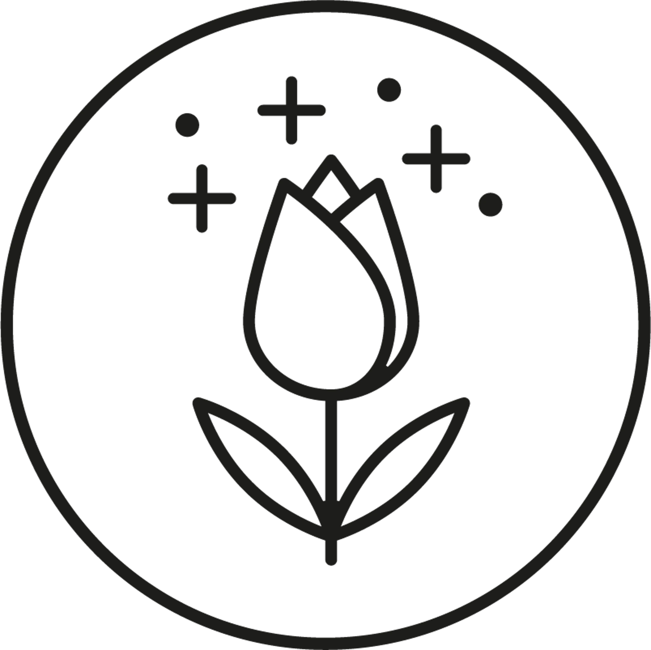 /media/attributes/images/ICONOS_ARKHE-AROMATERAPIA.png
