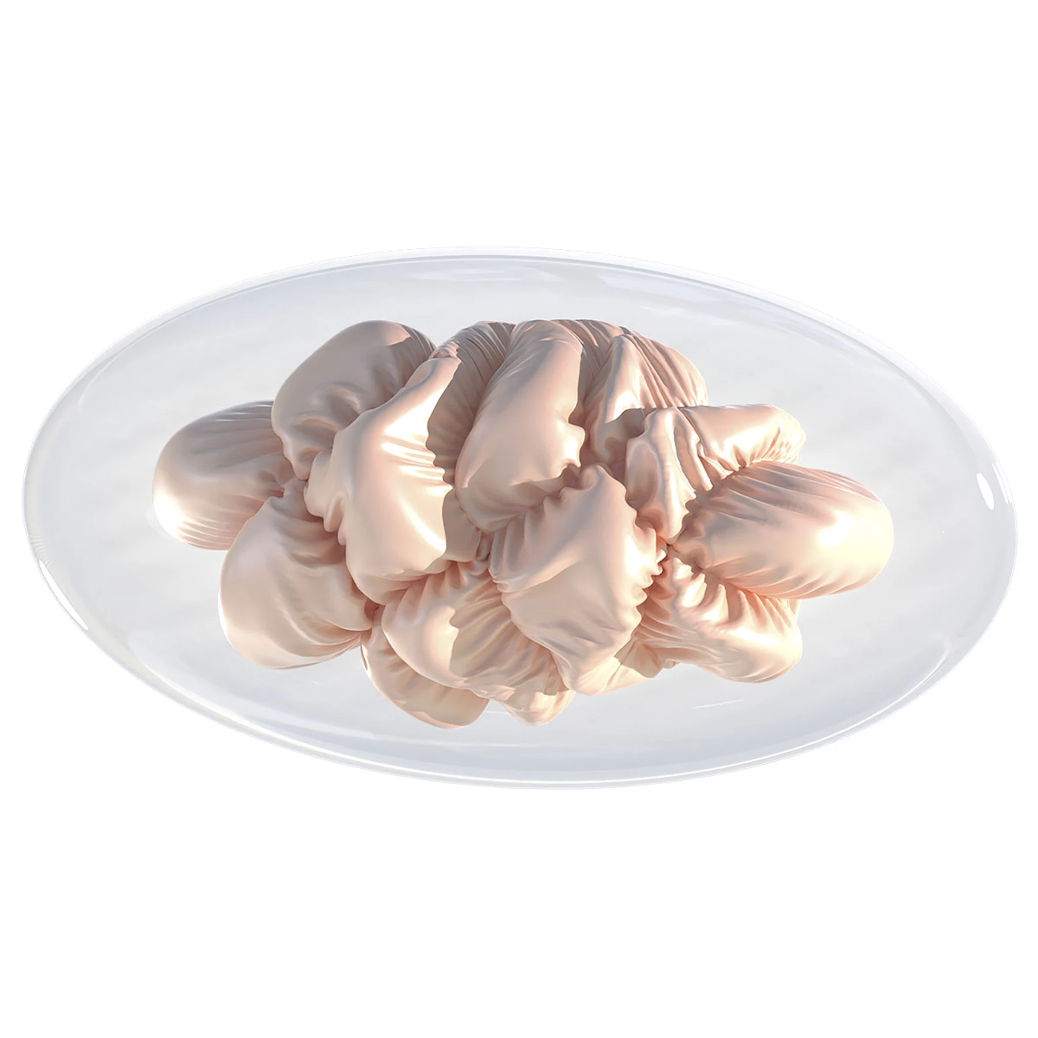 /media/attributes/images/STELLAR-PROTEINA_DE_SEDA.jpg