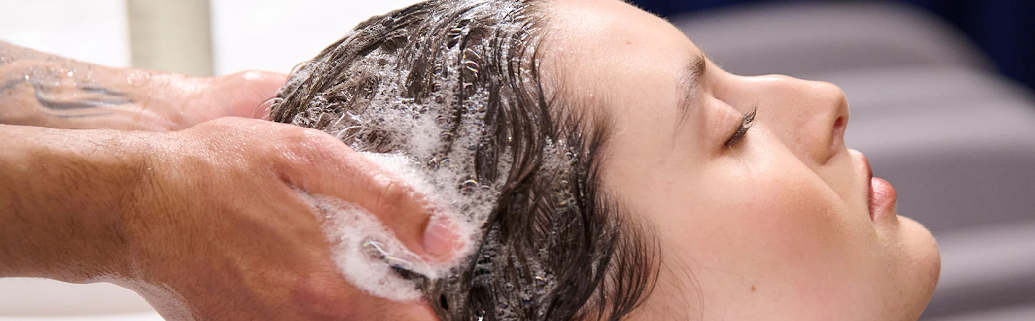 media/blog/header_images/BANNER-CABELLO-SECO.jpg