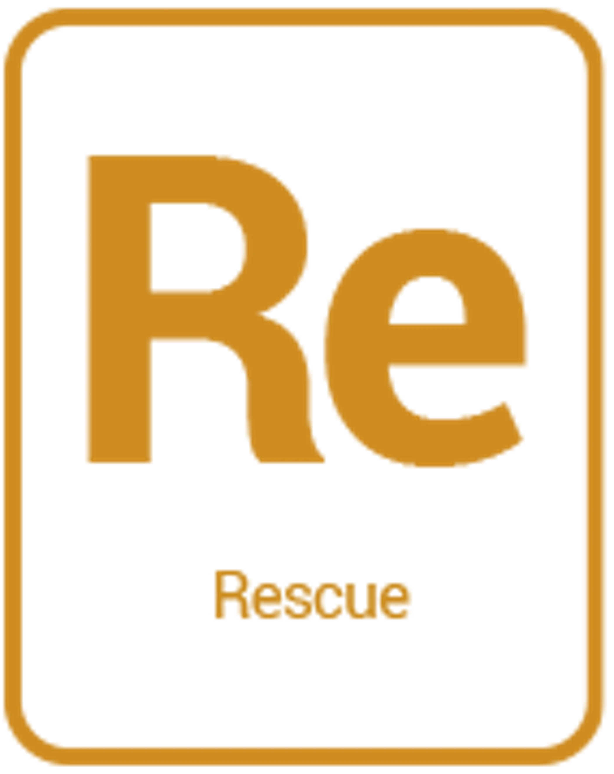 media/catalog/category/ICONO-RESCUE.png