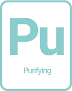 media/catalog/category/PURIFYING_1.png