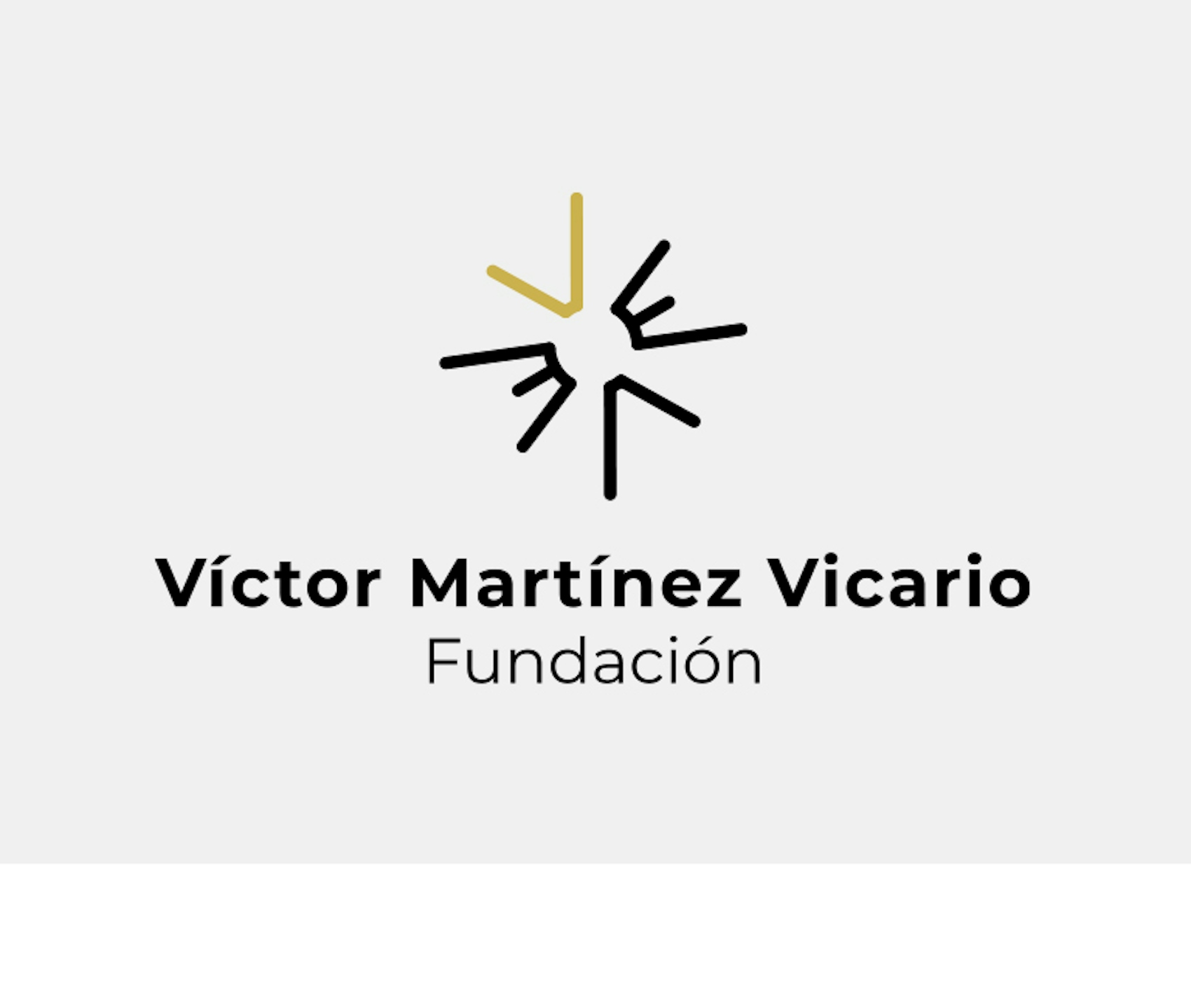 2008 FUNDACIÓN VMV COSMETIC GROUP