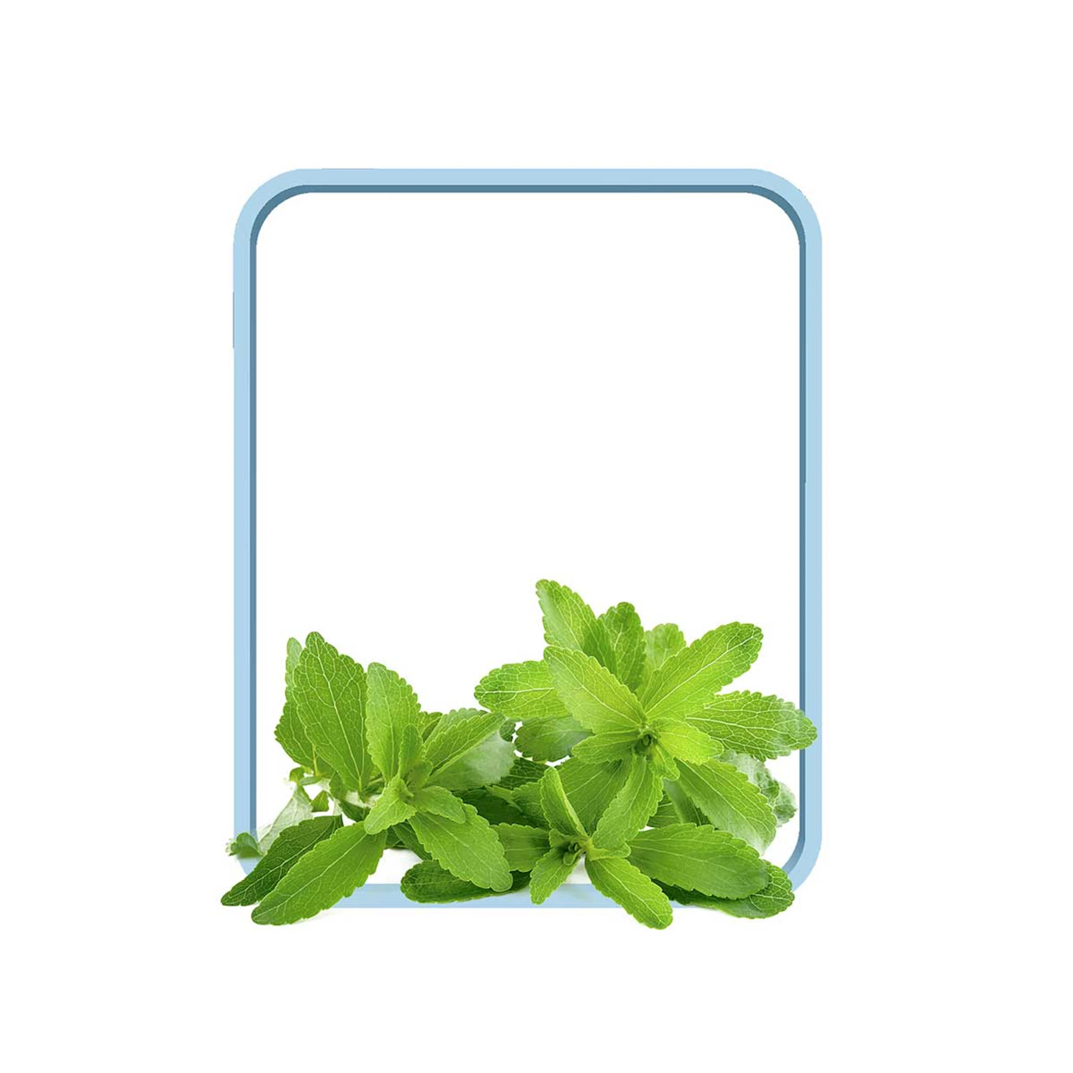 media/estaticas/HYDRATION-STEVIA_V2.jpg