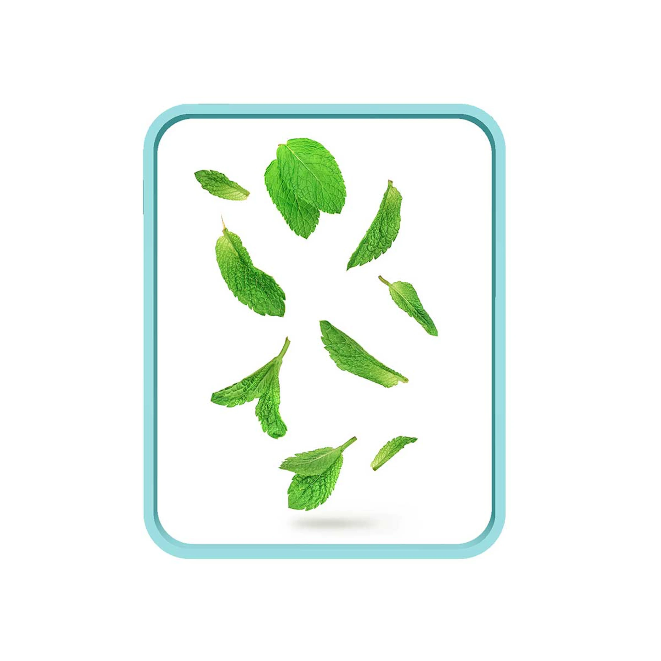 media/estaticas/PURIFYING-MENTA-PIPERITA_V2.jpg