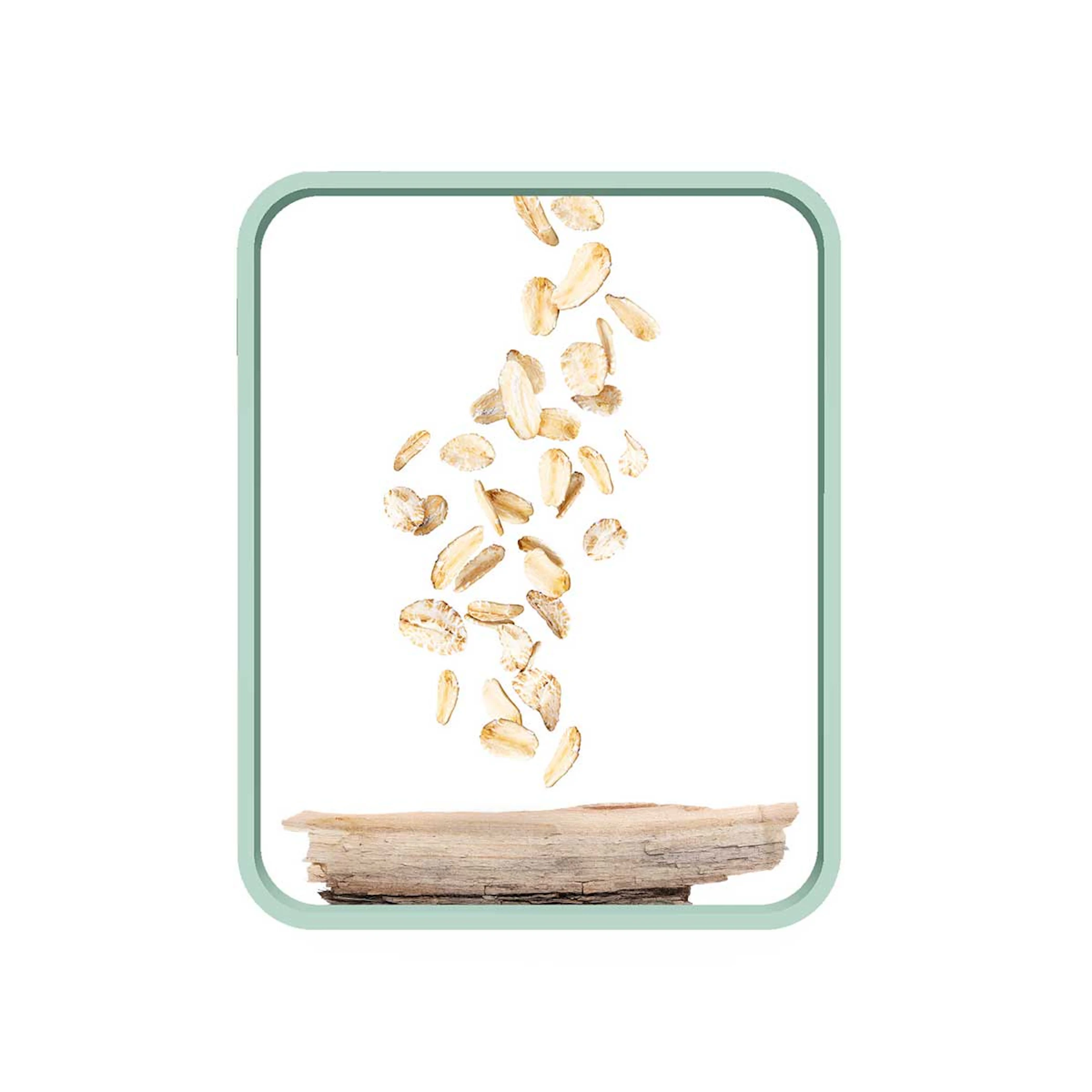 media/estaticas/SCALP-BALANCE-SAUCE-Y-AVENA_V2.jpg
