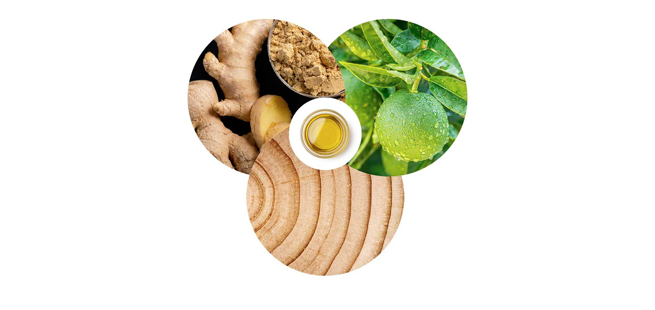ACEITES ESENCIALES 100% NATURALES